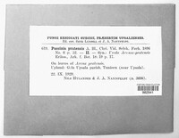 Puccinia pratensis image